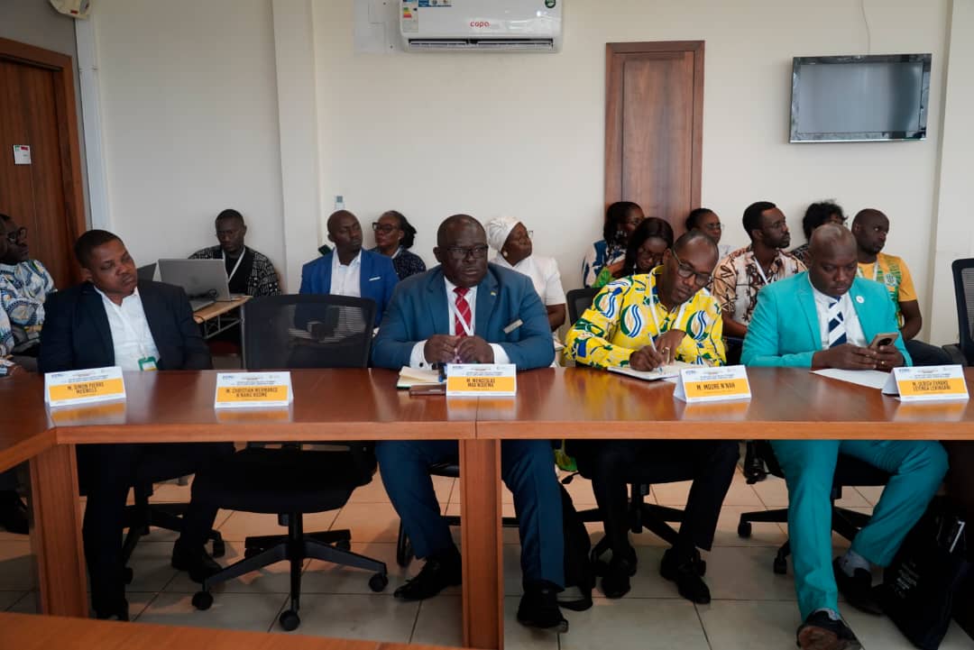 Table ronde Stratégique et Panafricaine