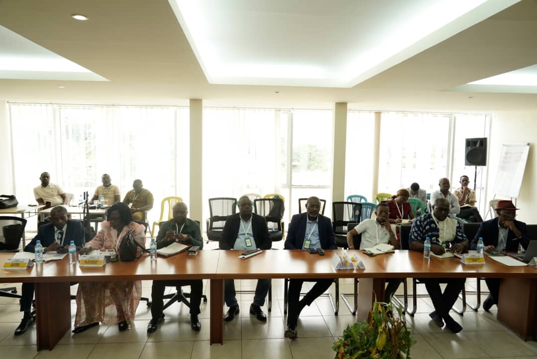 Table ronde Stratégique et Panafricaine